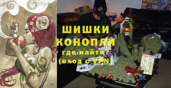 сатива Алексин