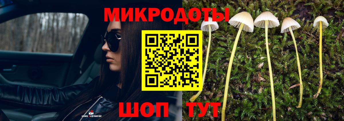 Кондопога  Галлюциногенные грибы Psilocybine cubensis  где можно купить наркотик  Вход с VPN 