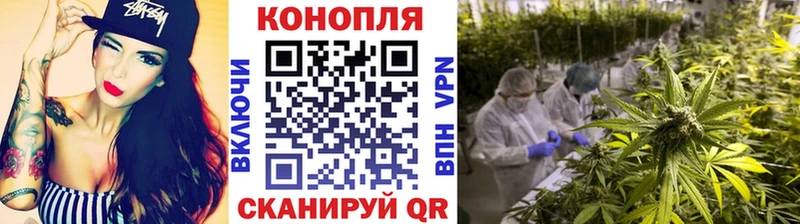 Бошки марихуана тримм хочу наркоту Кондопога